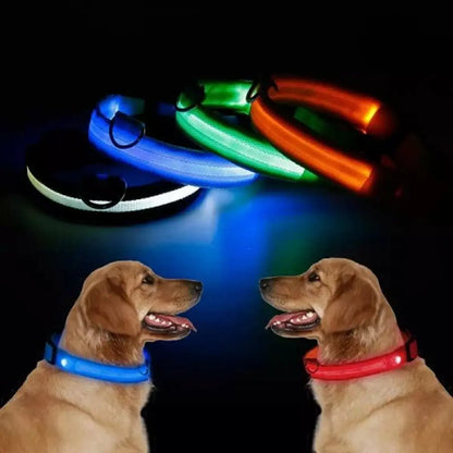 Collar led perros y gatos