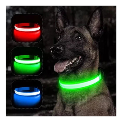 Collar led perros y gatos