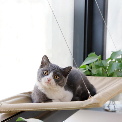 Cama para gatos en ventana